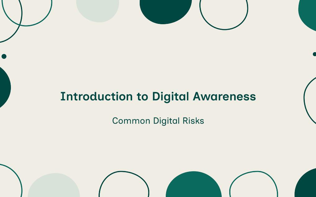 Common Digital Risks